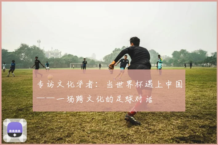 专访文化学者:当世界杯遇上中国——一场跨文化的足球对话
