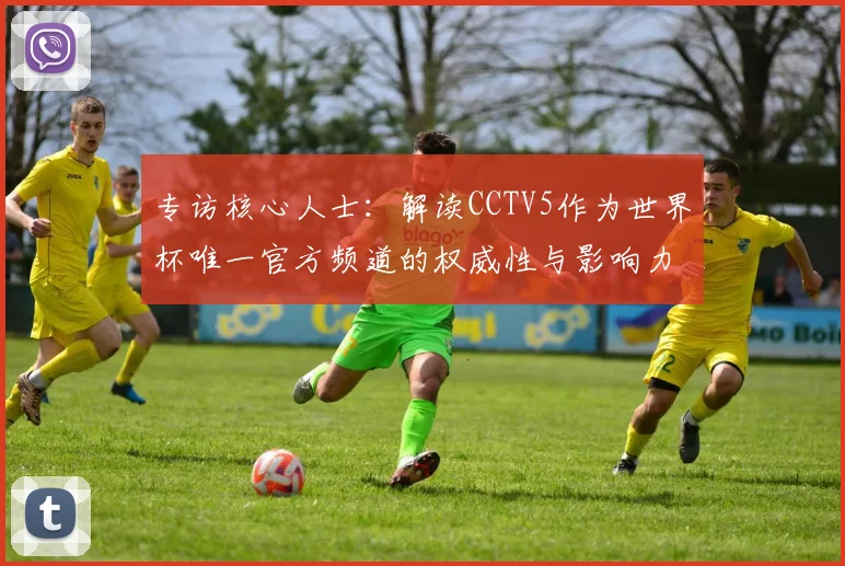 专访核心人士：解读CCTV5作为世界杯唯一官方频道的权威性与影响力