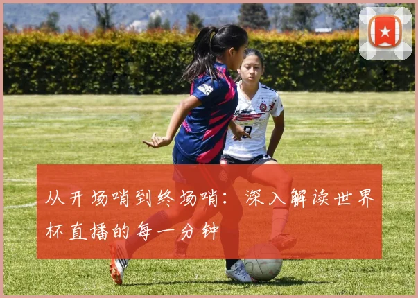 从开场哨到终场哨：深入解读世界杯直播的每一分钟