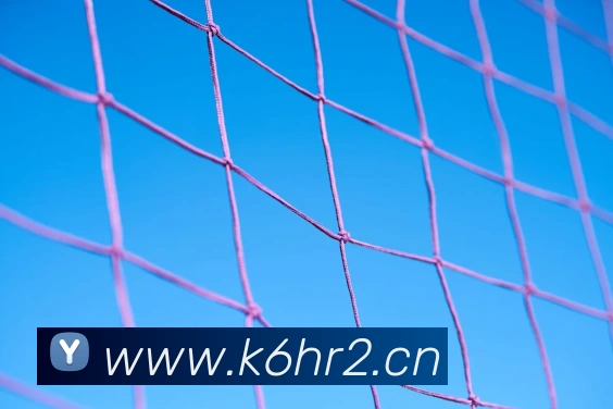 米兰app体育网页版APP 体育赛事宣传图